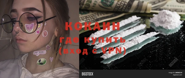 дмт Инсар