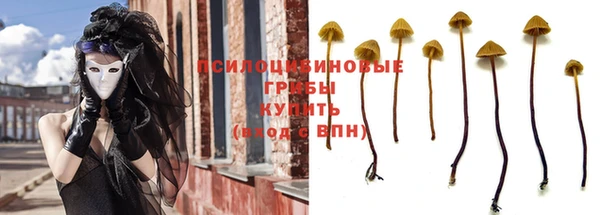 дмт Инсар