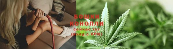 дмт Инсар