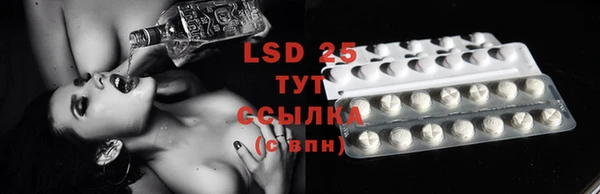 амф Инта