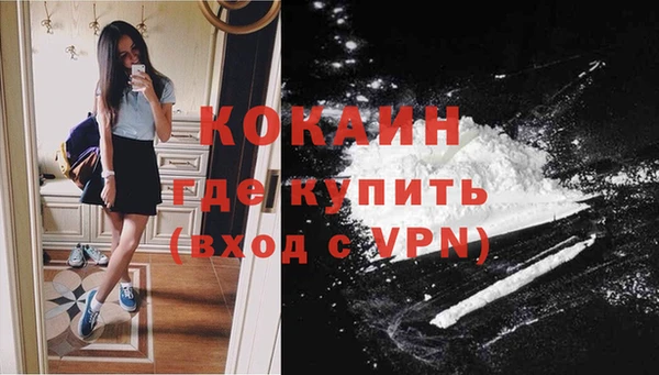 дмт Инсар