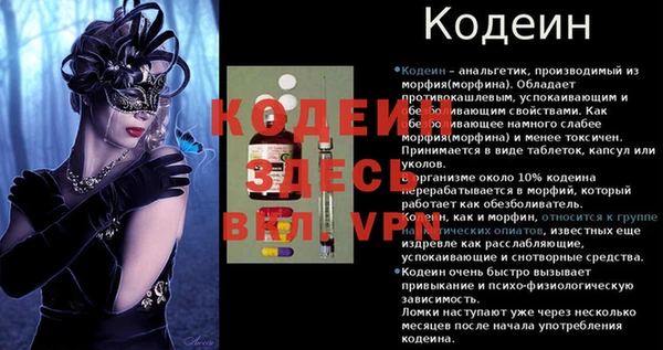 амф Инта