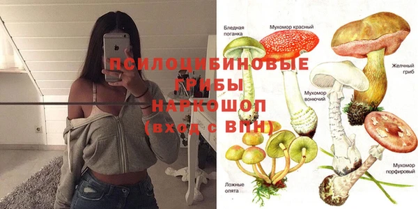 дмт Инсар
