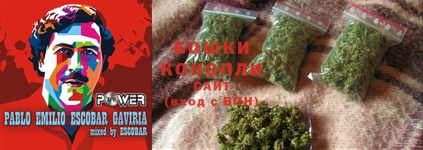дмт Инсар