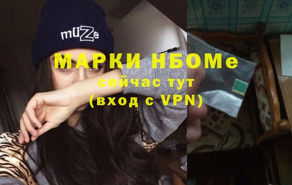 дмт Инсар